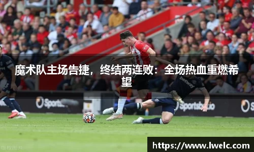 美嘉体育下载