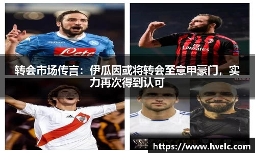 美嘉体育APP
