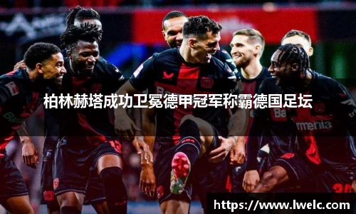 美嘉体育官网