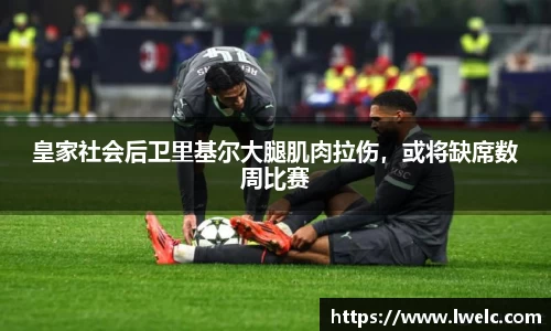 美嘉体育平台