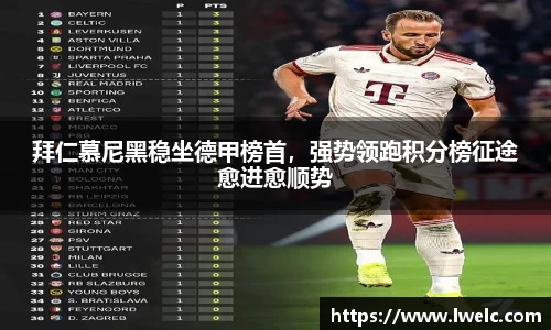 美嘉体育官网