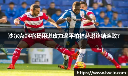 美嘉体育平台