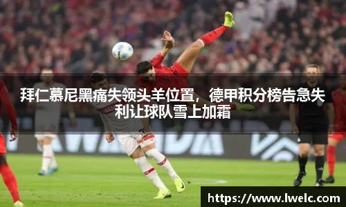 美嘉体育APP
