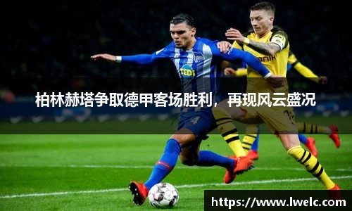 美嘉体育平台