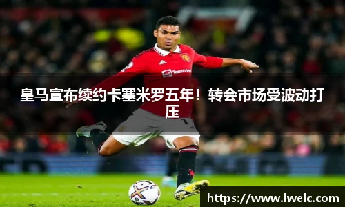 美嘉体育平台