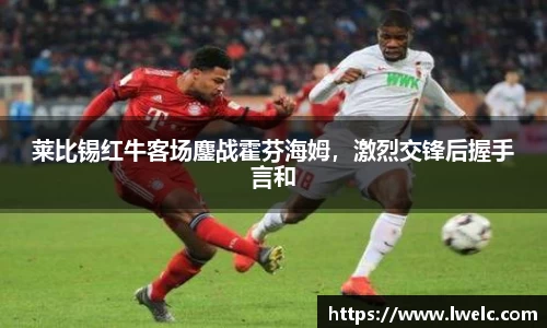美嘉体育平台