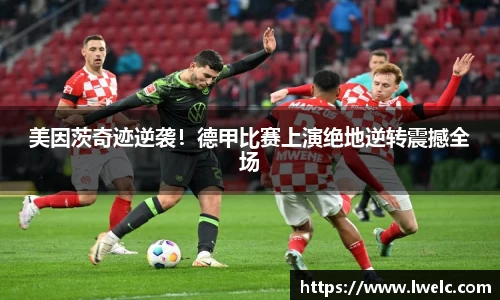 美嘉体育平台
