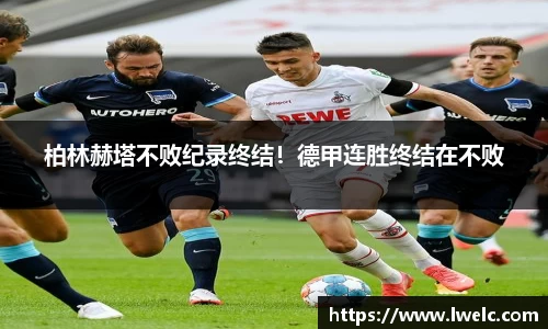 美嘉体育下载