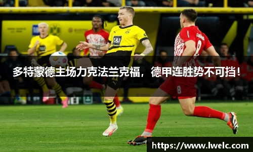 美嘉体育平台