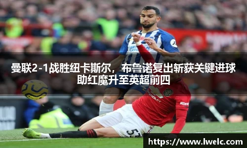 美嘉体育官网