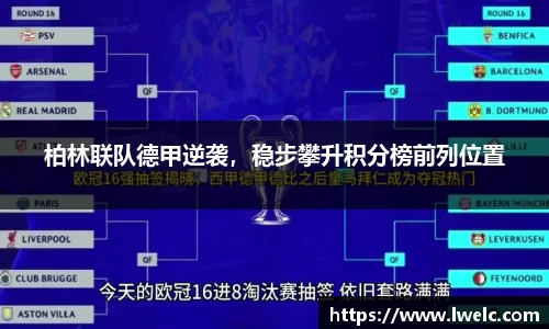 美嘉体育APP