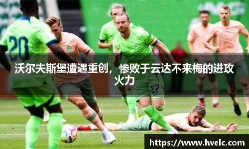 美嘉体育平台