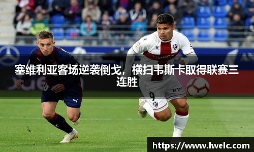 美嘉体育下载