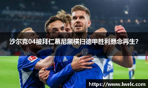 美嘉体育官网