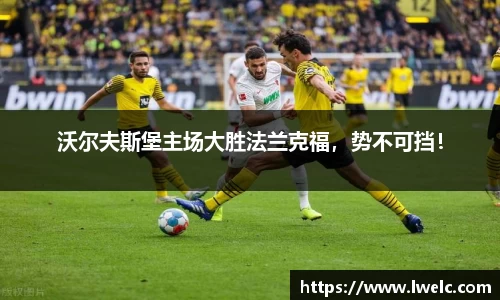 美嘉体育官网