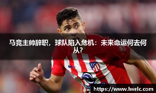 美嘉体育下载