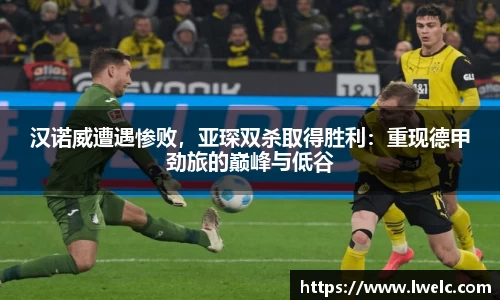 美嘉体育下载