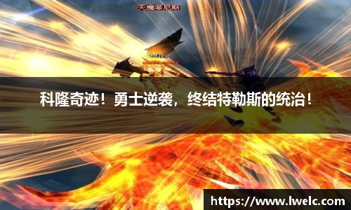 美嘉体育官网