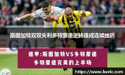 美嘉体育官网