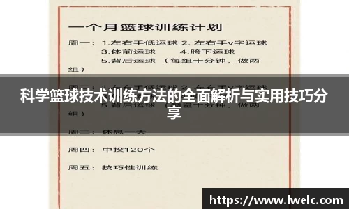 美嘉体育APP