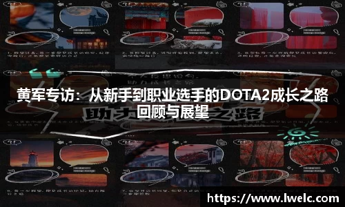 美嘉体育APP