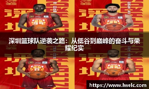 美嘉体育平台