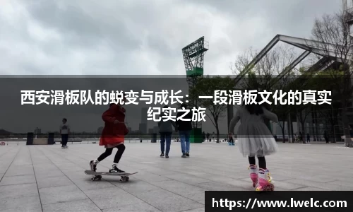 美嘉体育平台