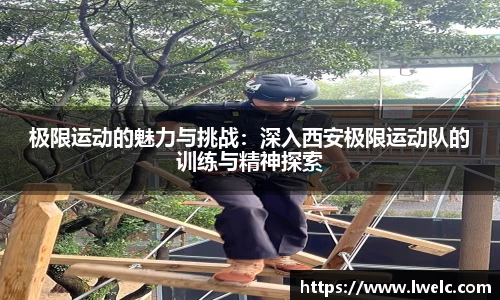 美嘉体育下载