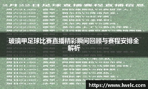 美嘉体育下载
