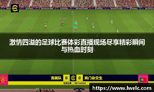 美嘉体育下载