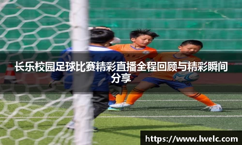 美嘉体育官网