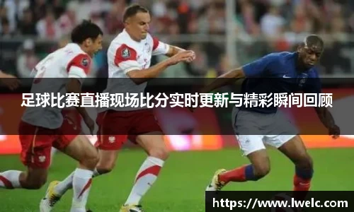 美嘉体育APP
