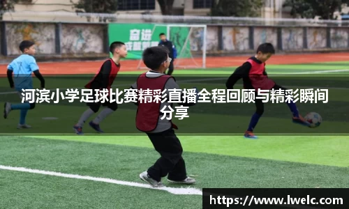 美嘉体育官网