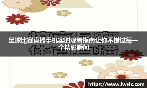 美嘉体育APP