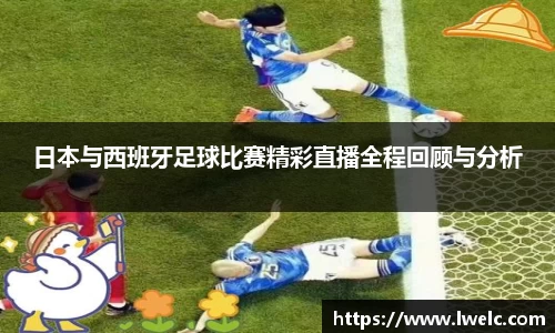 美嘉体育下载