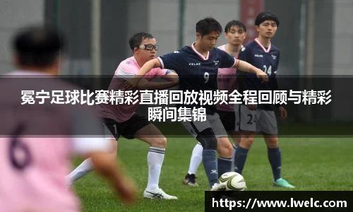 美嘉体育官网
