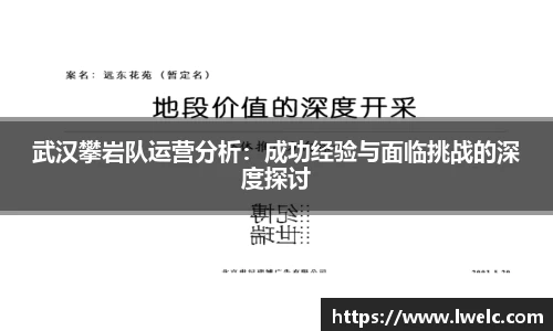美嘉体育平台