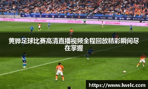 美嘉体育官网