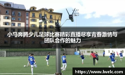 美嘉体育官网