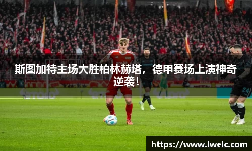 美嘉体育下载