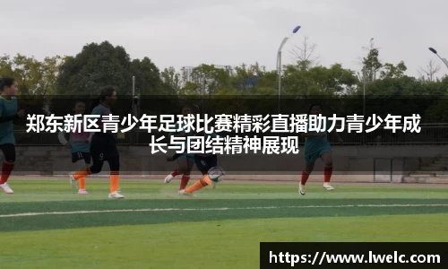 美嘉体育下载