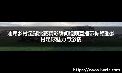 美嘉体育下载