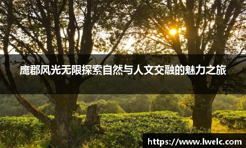 美嘉体育平台