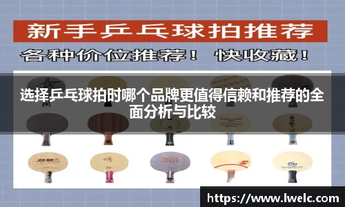美嘉体育官网