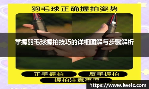 美嘉体育APP