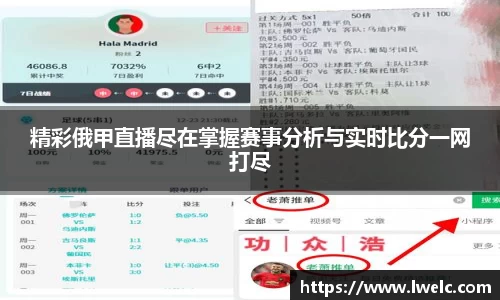 美嘉体育平台
