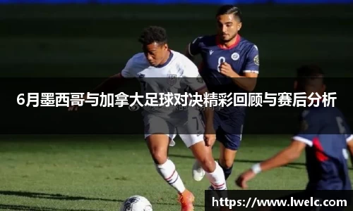 美嘉体育平台
