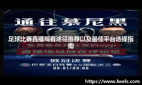 美嘉体育官网